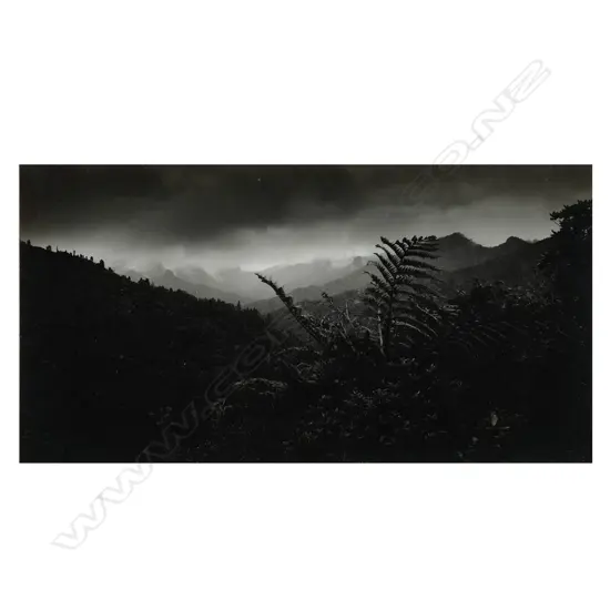 John Fields (1938-2013) ‘Coroglen road, Coromandel Peninsula’,